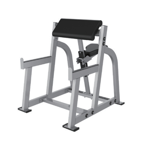 Arm Curl, Siddende