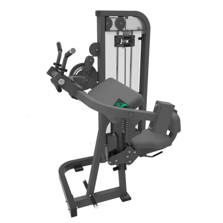 Biceps og triceps
